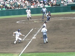 275.jpg