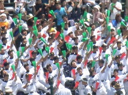 290.jpg