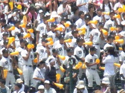 302.jpg