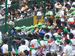 319.jpg