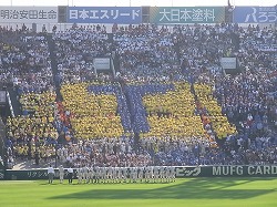 RIMG0080.jpg