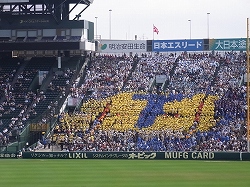 RIMG0156.jpg