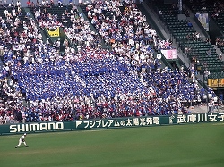 RIMG0185.jpg