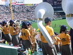 491.jpg