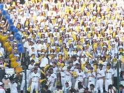 591.jpg