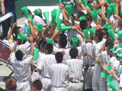 213.jpg