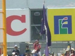 217.jpg