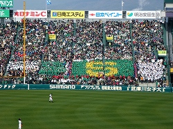 P1010663.jpg