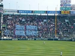 P1010701.jpg