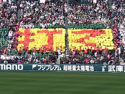 RIMG0029.jpg