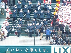 P1020619.jpg