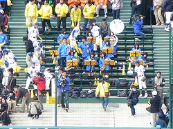 P1020850.jpg