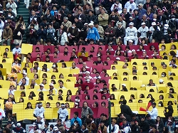P1020881.jpg