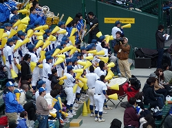 P1020884.jpg