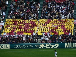 P1020887.jpg