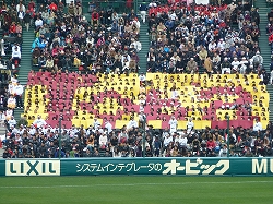 P1020906.jpg