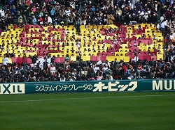 P1020929.jpg