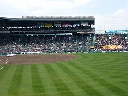 P1020931.jpg