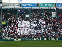 P1020939.jpg