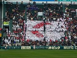 P1020942.jpg