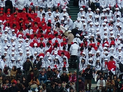 P1020945.jpg