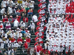 P1020962.jpg