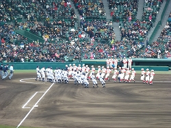 P1020969.jpg