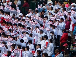 P1030111.jpg