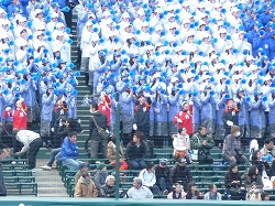 P1030140.jpg