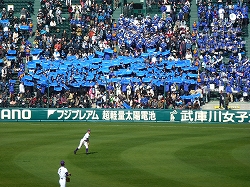 P1030206.jpg