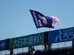 P1030243.jpg