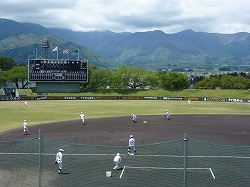 P1030483.jpg