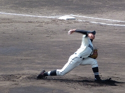 P1030784.jpg