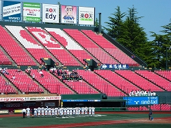 P1040191.jpg