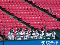 P1040227.jpg