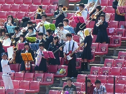 P1040246.jpg