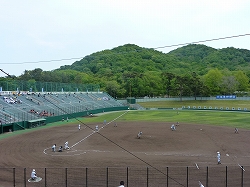 P1040339.jpg