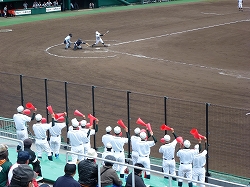 P1040352.jpg