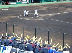 P1040483.jpg