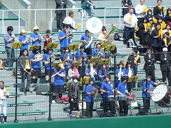 P1040502.jpg