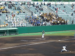 P1040506.jpg