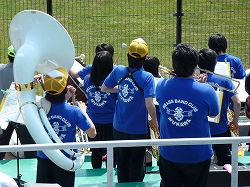 P1040553.jpg