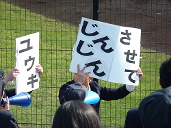 P1040775.jpg