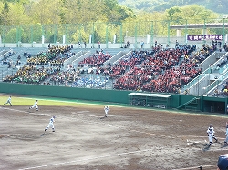 P1040784.jpg