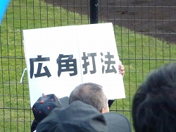 P1040817.jpg