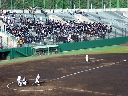 P1040846.jpg