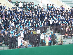 P1040849.jpg