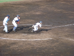 P1040865.jpg