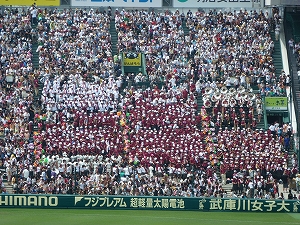 P1080934.jpg
