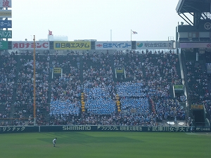 P1090038.jpg